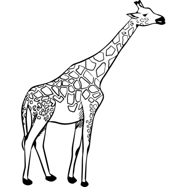Giraffe   Clipart 2 Thumbnail